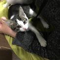 コロ玉♡やんちゃで美人