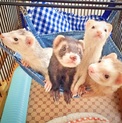 ご縁がありますように。よろしくお願いします。