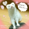 ご縁がありますように。よろしくお願いします。 サムネイル2