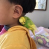 はなか✳︎