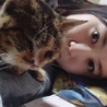 みふぉ