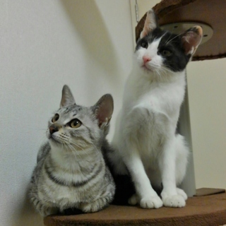 美人姉妹だねって言われます。