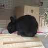 何かないかな？