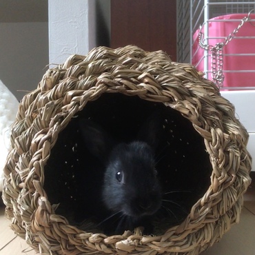 我が家へようこそ