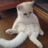 の写真