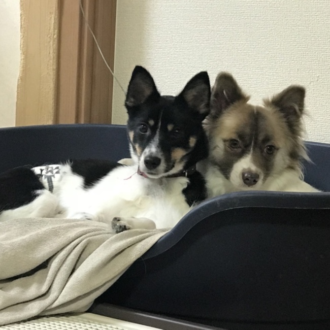 hinata399のカバー写真