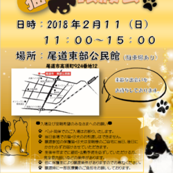 猫＆仔犬の譲渡会