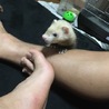 可愛がってくれるかた募集です！ サムネイル5