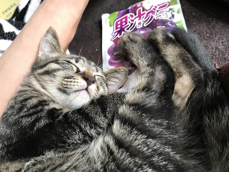 レオン