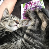 レオン