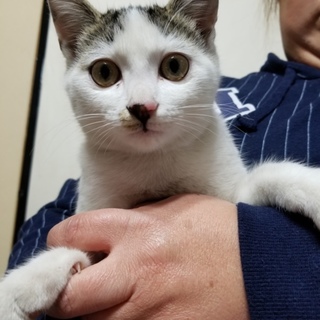 緊急！！助けてください