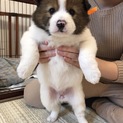 みなさんありがとうございました❗️