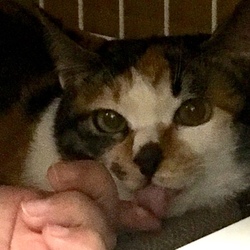 1日目