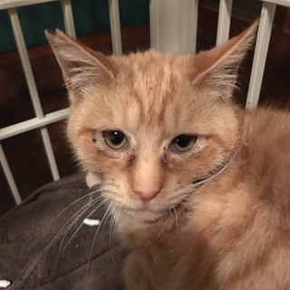 寒空の下がんばっていたピースです(^^)