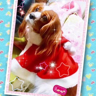 クリスマス
