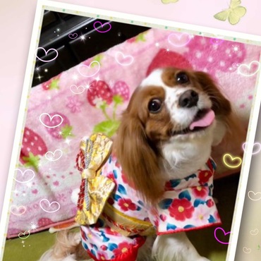 あけましておめでとうございます