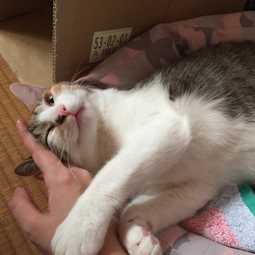 らっくの写真
