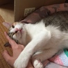 の写真