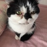 の写真