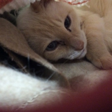 大好き のんちゃん