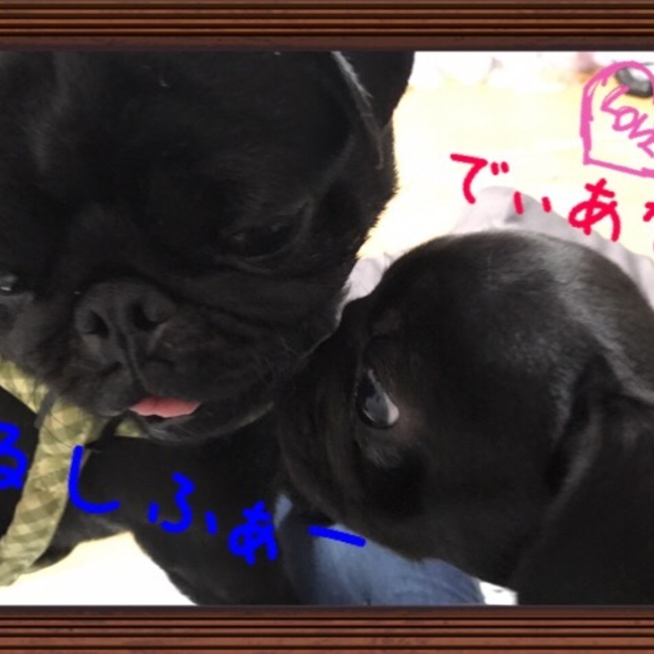 luciferのカバー写真