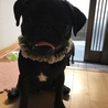 の写真