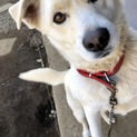 里親様に迎え入れられました