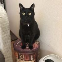 げんのすけ