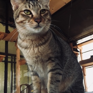 ベタ慣れムギワラ男のコ(＾ｰ^)