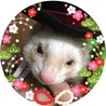 ayatamu70さん