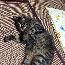 迷子