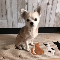 たく