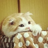 なんかたいくつだな