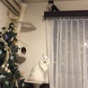 の写真