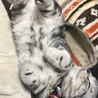 コタツ布団で寝るのか好きみたい✩°｡⋆⸜(* ॑꒳ ॑* )⸝