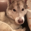 皆様には本当に感謝しています！有難う御座いました！