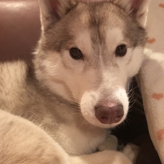 皆様には本当に感謝しています！有難う御座いました！