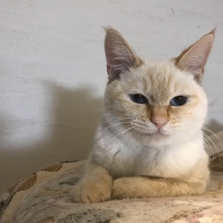 私も幸せになりました☆！！