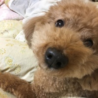 ジュン