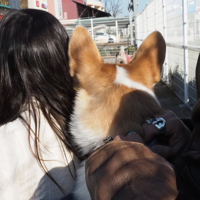 かすまんたのカバー写真