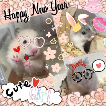 我が家の娘達の女子会