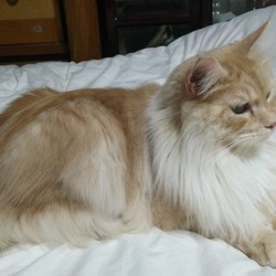 明けましておめでとうございます