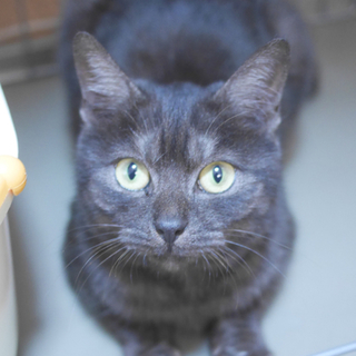 幸せになりました〜控えめスモーク