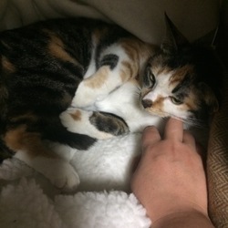 4日目
