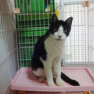 募集停止　僕エイズと白血病キャリアです