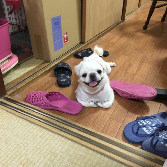 nagi8kgのカバー写真