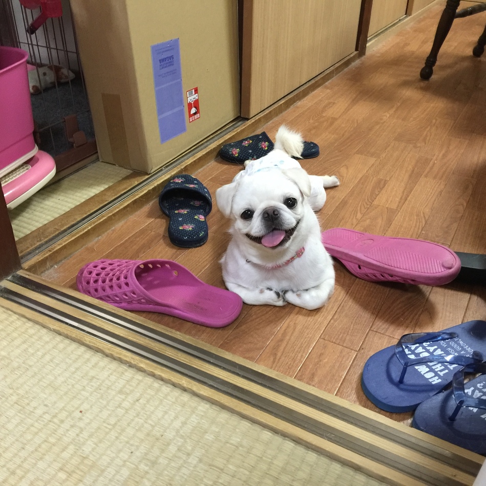 煖 (なん)のカバー写真