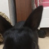 大接近