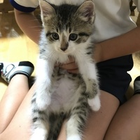 ミト