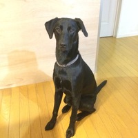 JACK
